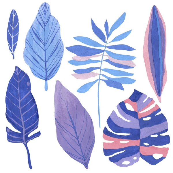 Tropical Leaves Hand Drawn Gouache Blue Pale Blue Pale Pink — Stock Photo, Image