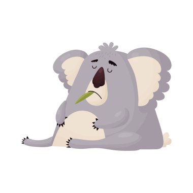 Funny Koala ate too much leaves and dozed off.
