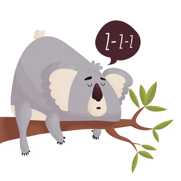 Cute fat lazy Koala on a tree branch. — Stockvector
