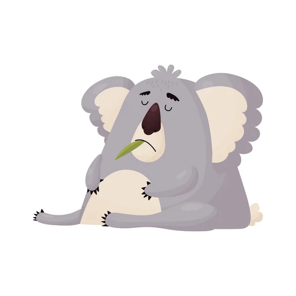 Engraçado Koala comeu muitas folhas e adormeceu . —  Vetores de Stock