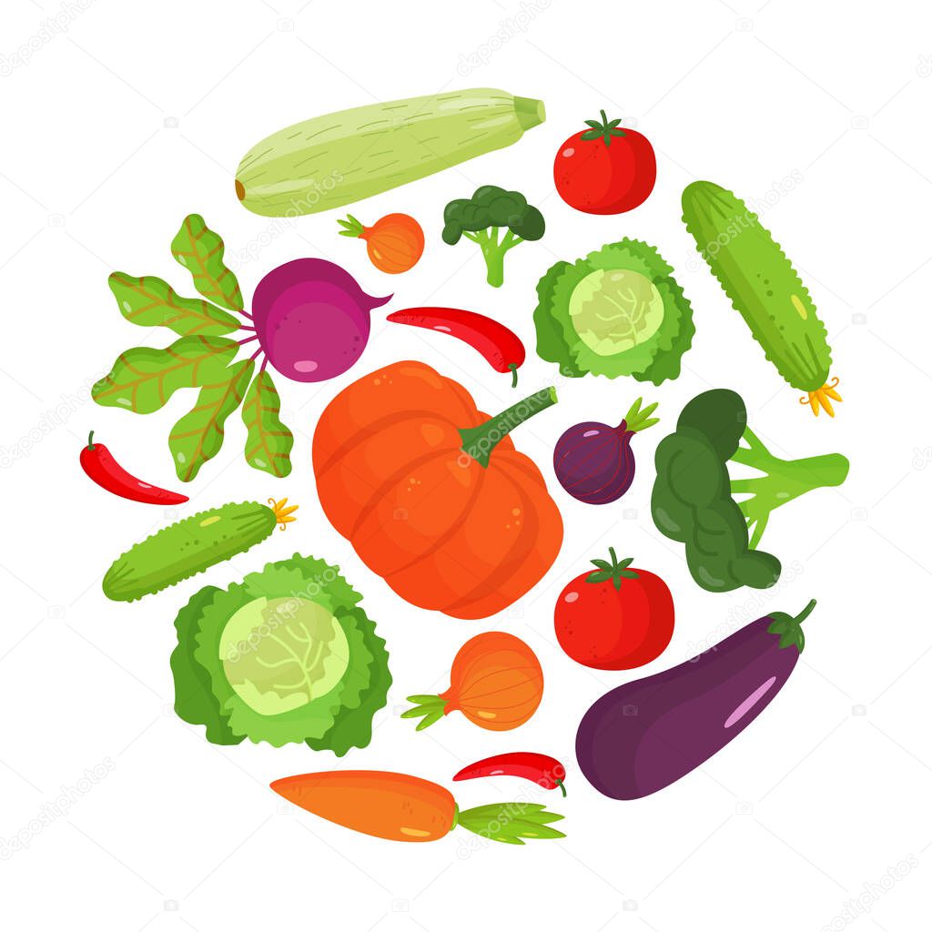Set of vegetables in a circle. Vector composition and food ingredients