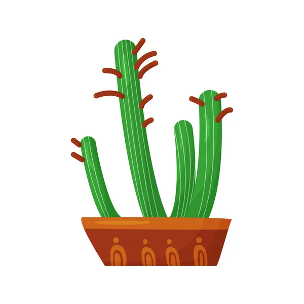 Vecteur Plante Maison Sur Fond Blanc Grand Cactus Fleurs Dans — Image vectorielle