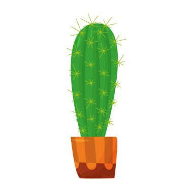 Beyaz arka planda uzun yeşil bir ev bitkisi. Çizgi film tarzında bir kaktüs.