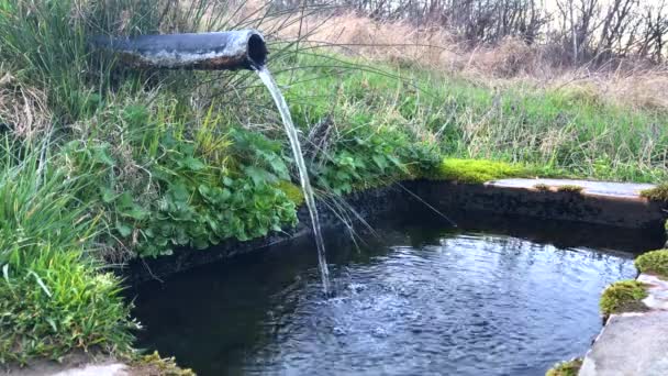 Source naturelle d'eau pure 