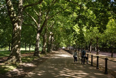 Kılavuzu park gölge sokak