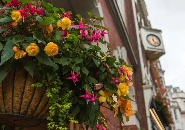 Sepette çiçekler var.