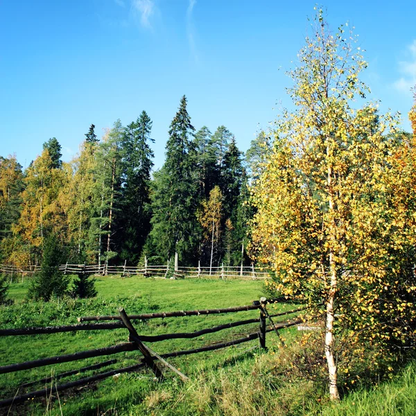 Starý dřevěný plot kolem koně pasoucí se na pastviny. — Stock fotografie