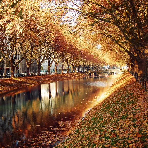 Im Kanal spiegeln sich goldene Bäume. Herbstfoto — Stockfoto