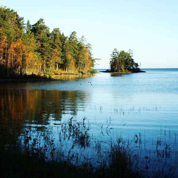 Ανατολή του ηλίου σε λίμνη Λάντογκα. Φύση του ρωσικού Βορρά. — Φωτογραφία Αρχείου