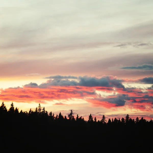 Valaam al atardecer. Naturaleza salvaje del norte ruso . — Foto de Stock