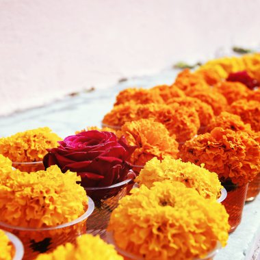 Saygı Mahabodhi Tapınağı'nda sunan için çiçekler.