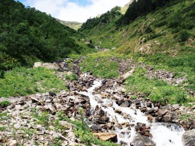 Yeşil dağ geçidi taş ve otlar küçük dere