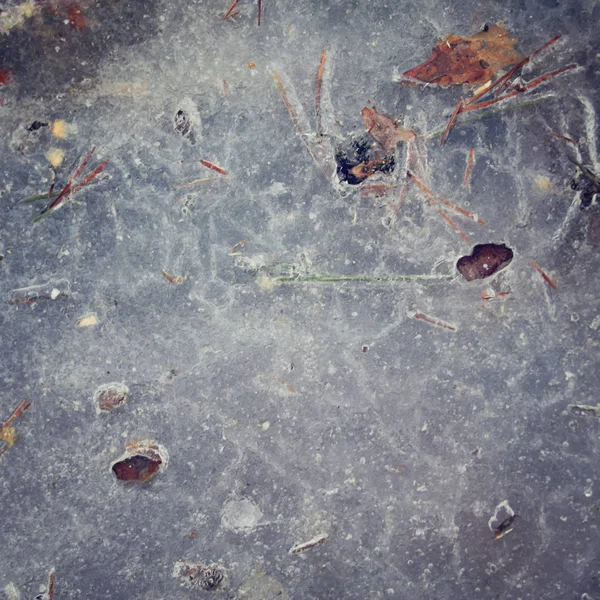 Textura congelada da poça. Foto afiada. Inverno frio . — Fotografia de Stock