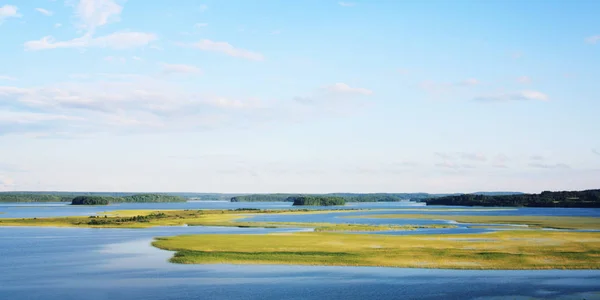 Dia de verão no lago. Grama crescendo na água — Fotografia de Stock