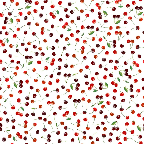 Ripe cherries. Seamless pattern. Fruit harvest. — Stock Vector