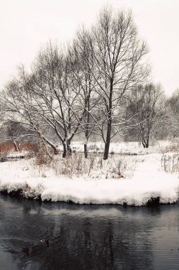 Nehre yansıtılmış ağaçlar kar kaplı. Kış.