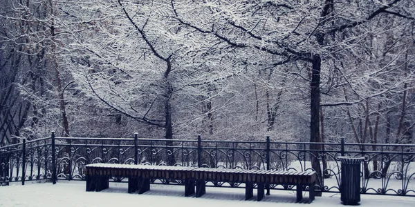 Śnieżny dzień. Pusta Ławka w parku. Zimowa scena — Zdjęcie stockowe