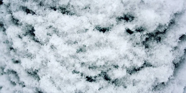 Snow texture. Wooden surface covered with snow. — Stock Photo, Image