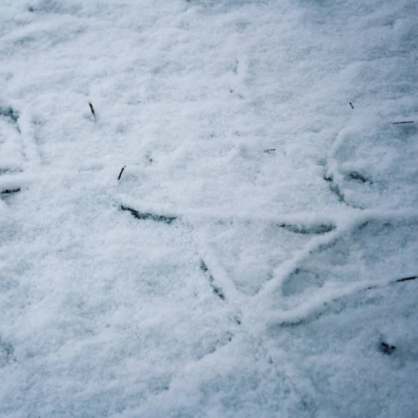 Sneeuw patroon. Houten oppervlak bedekt met sneeuw. — Stockfoto