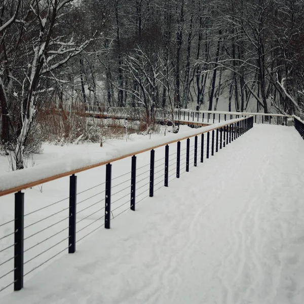 Journée enneigée. Passerelle vide dans le parc. Scène hivernale — Photo