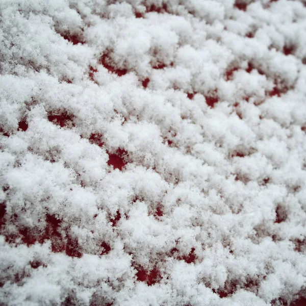 Rode houten oppervlak bedekt met sneeuw. Close-up. — Stockfoto