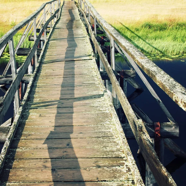 An old wooden bridge. Sunny day. Empty walkway.