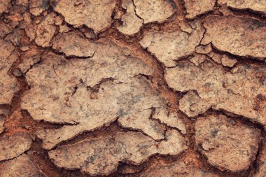 Kurumuş toprakta çatlaklar. Erozyon. Yaşlanmış fotoğraf.