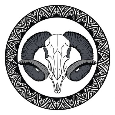 Çerçeve içinde hayvan kafatası