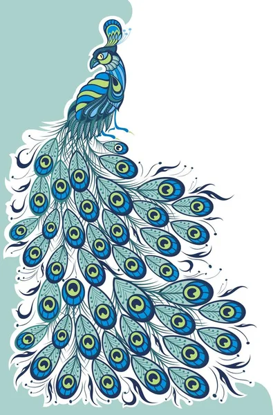 Niebieski Peacock Poster Projekt Koszulki Tło Wektor — Wektor stockowy