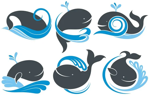 Whales Splash Water — Stock Vector