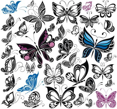 Kelebekler büyük koleksiyonu. Vektör