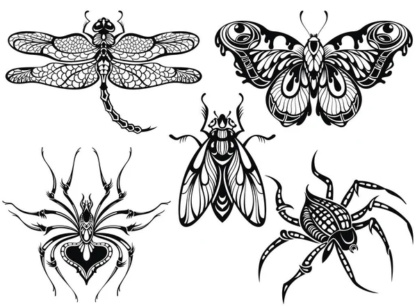 Ilustracja Owadów Czarne Motyle Robaki Ważka Pająk Zestaw Szkiców Tatuażowych — Wektor stockowy