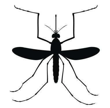 Sivrisinek uyarısı. Sivrisinekler, böcek kontrol vektörü sembolü