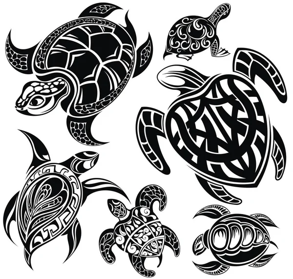 在白色背景上设计海龟的矢量 爬行动物动物 — 图库矢量图片