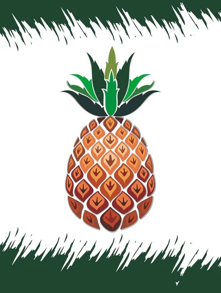 Ananász Ananászgyümölcs Illusztrációja Nyári Gyümölcs — Stock Vector
