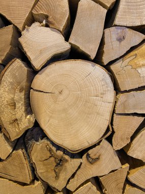 Ortasında fotokopi alanı olan odun yığınlarını kapatın. Kış için odun hazırlama ya da ahşap kazıklarla süslenmiş duvar. Dikey mobil fotoğraf