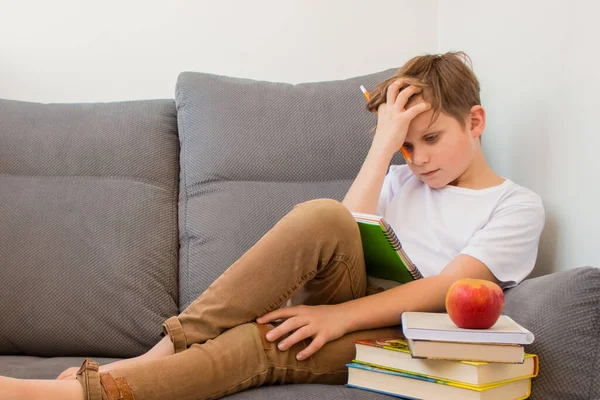 Niño Apenas Trabajando Tarea Estudiando Línea Casa Con Libros Portátil —  Fotos de Stock