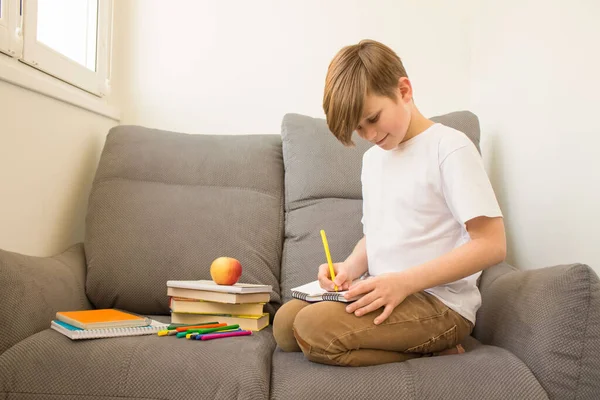 Šťastné dítě chlapec studuje online doma s knihami — Stock fotografie