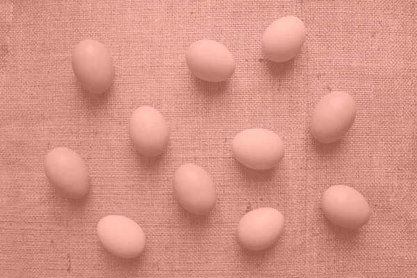 Fondo Rosa Coral Hecho Huevos Pollo Orgánicos Frescos Para Diseño — Foto de Stock