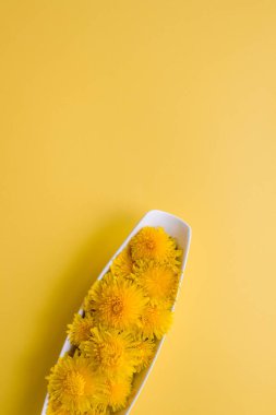 Üzerinde sarı karahindiba başları olan dikey kompozisyon beyaz plaka üzerinde parlak sarı arka plan ve kopyalanmış uzay. Alternatif tıp konsepti