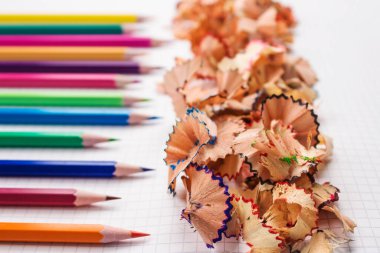 Yaratıcı bir arkaplan olarak beyaz okul not defterine renkli kalemler ve talaşlar. Okula ve hobi konseptine dönüyorum.