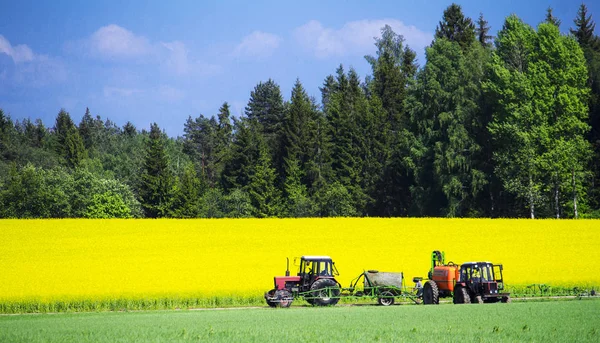 Zomer Veld Trekker — Stockfoto