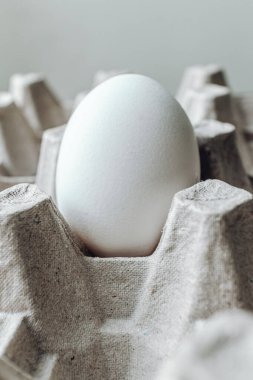 Karton bir kutuda yumurta. Kahvaltıda yumurta..
