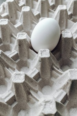 Karton bir kutuda yumurta. Kahvaltıda yumurta..