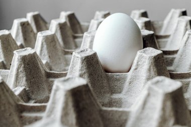 Karton bir kutuda yumurta. Kahvaltıda yumurta..