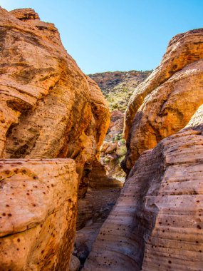 Arka planda dağ olan bir kanyon. Kanyon vadisinin kayalık yamaçları.