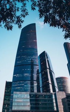 Yüksek gökdelenlerin manzarası. Mavi gökyüzü arka planında gökdelenler. Yüksek bina. Şehrin iş merkezi. Modern şehir mimarisi. Cam ve beton evler..