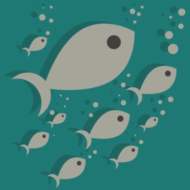 Birçok farklı boyutu/süs balıkları