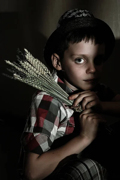Liten pojke med vete — Stockfoto