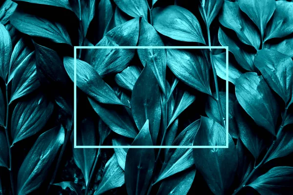 Grønne blade lagt ud overfladen af tabellen - Stock-foto